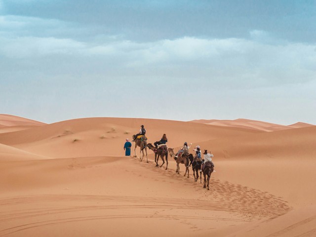 Camel riding experience